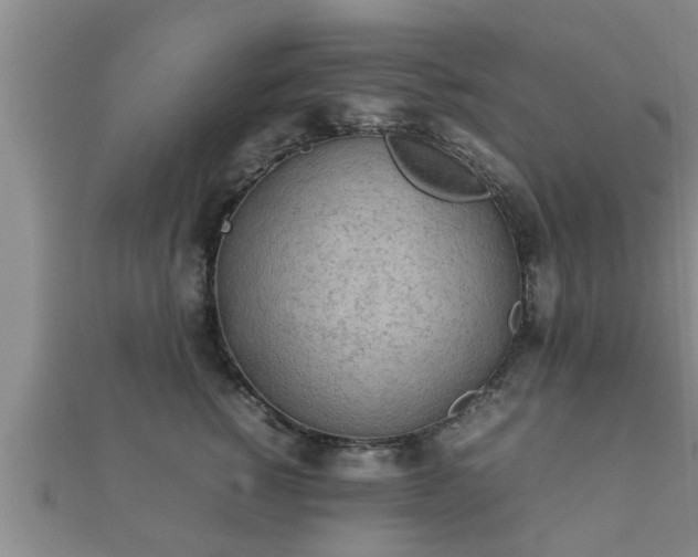 X0000112400760200908211115