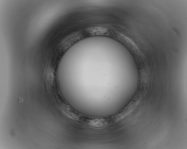 X0000112400761200908211115