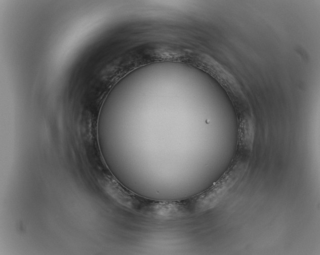 X0000112400762200908211115