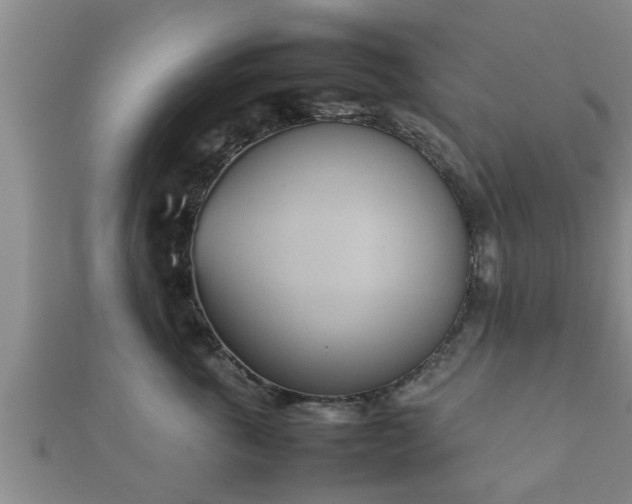 X0000112400763200908211115