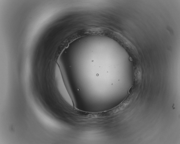 X0000112400764200908211115