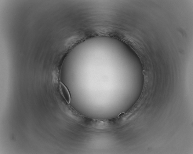 X0000112400768200908211115