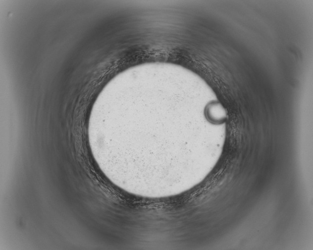 X0000112400769200908211114