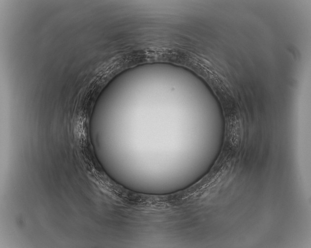 X0000112400770200908211114