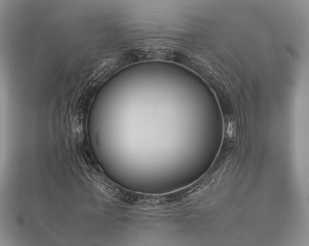 X0000112400771200908211114