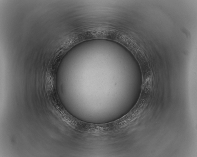 X0000112400772200908211114