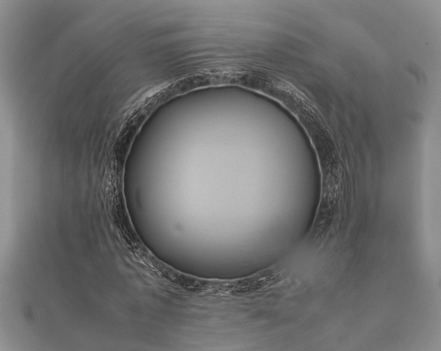 X0000112400773200908211114