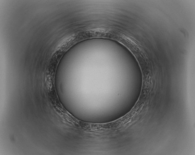 X0000112400774200908211114