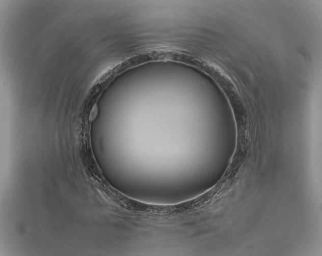 X0000112400775200908211114
