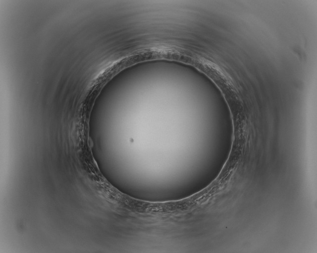 X0000112400776200908211114