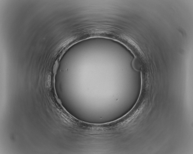 X0000112400777200908211114