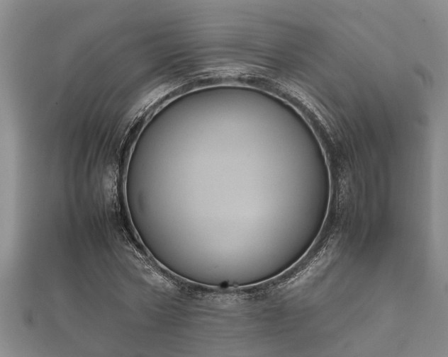 X0000112400778200908211114