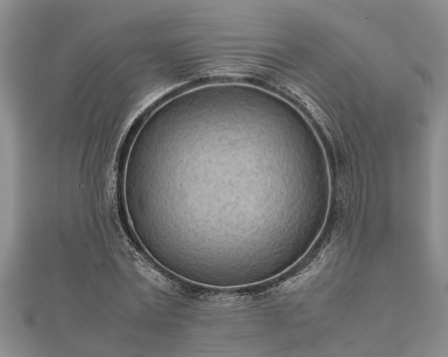 X0000112400779200908211114