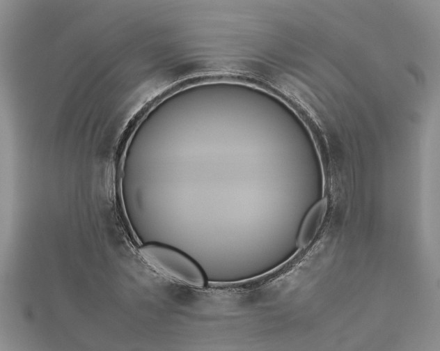 X0000112400781200908211114
