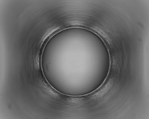X0000112400782200908211114