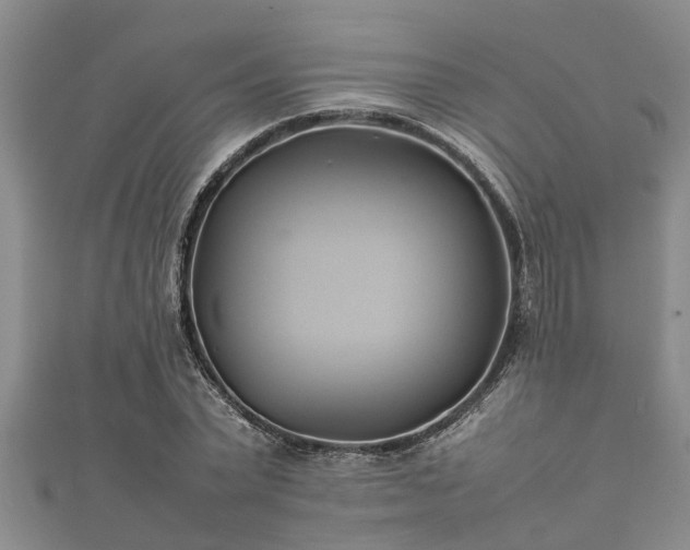 X0000112400783200908211114