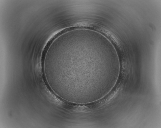 X0000112400784200908211114