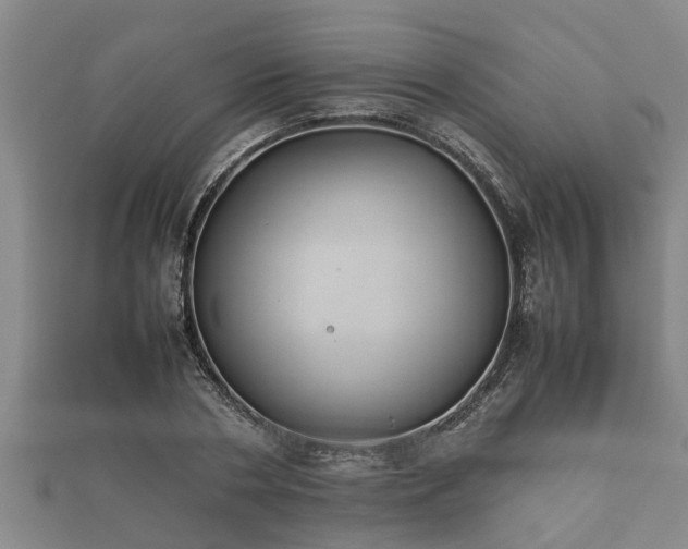 X0000112400786200908211114