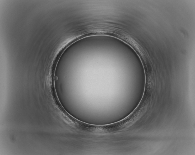 X0000112400787200908211114