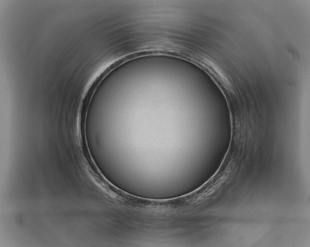 X0000112400788200908211114