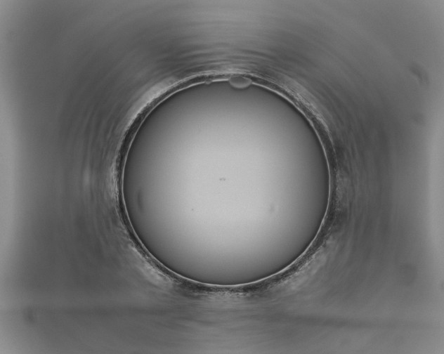 X0000112400789200908211114