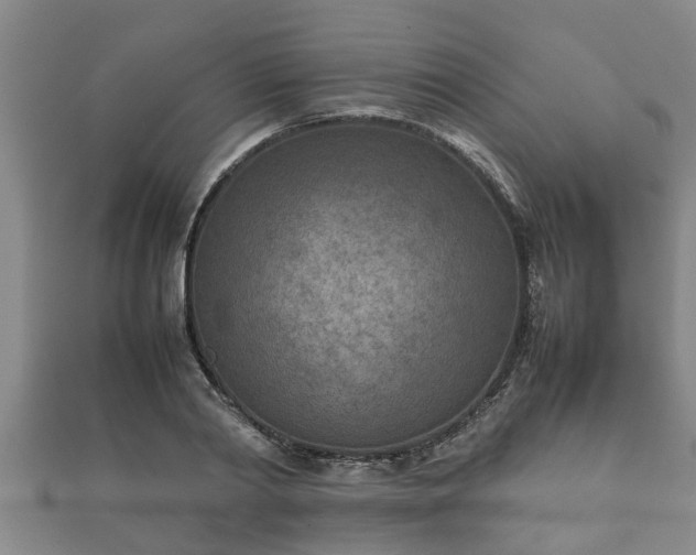 X0000112400790200908211114
