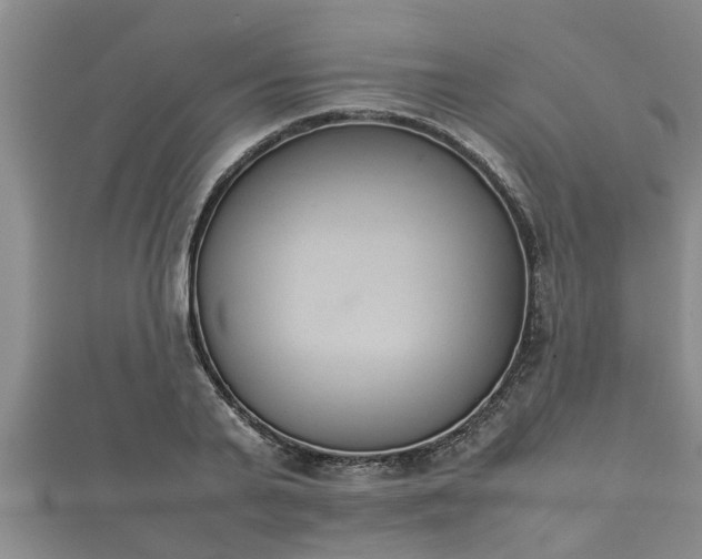 X0000112400791200908211114