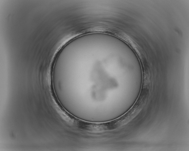 X0000112400795200908211114