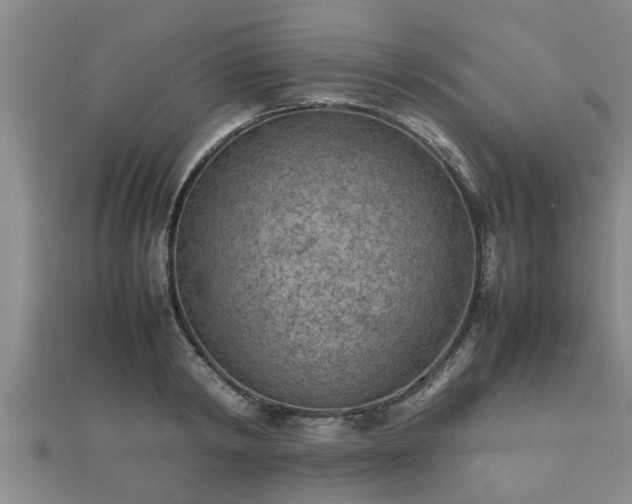 X0000112400798200908211114
