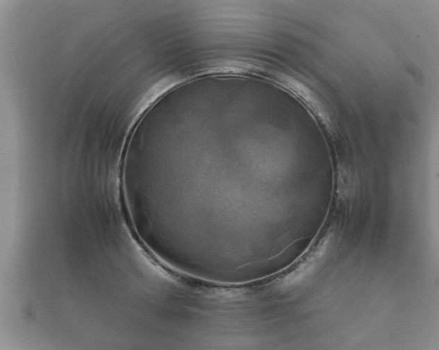 X0000112400802200908211114