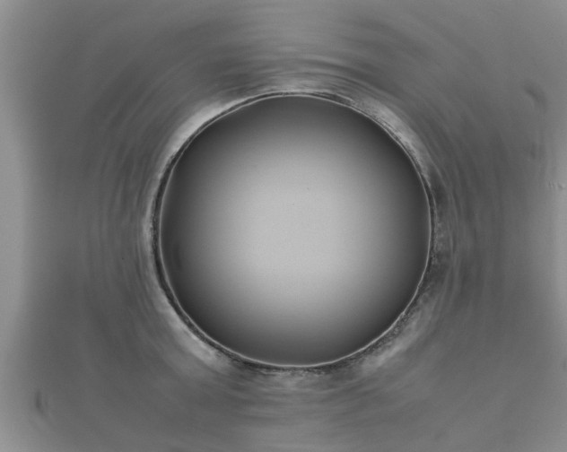 X0000112400803200908211114