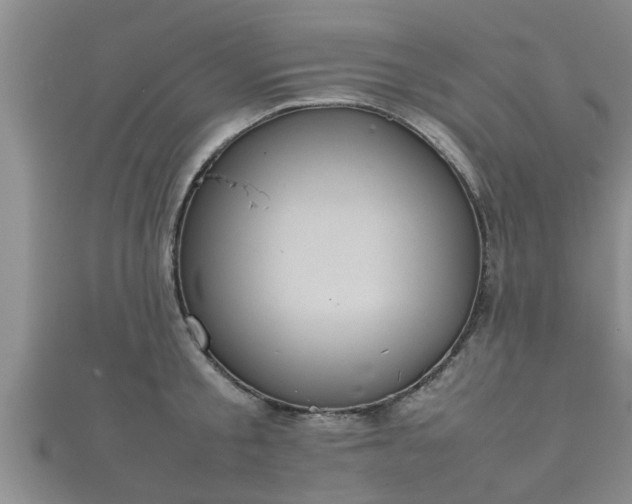 X0000112400805200908211114