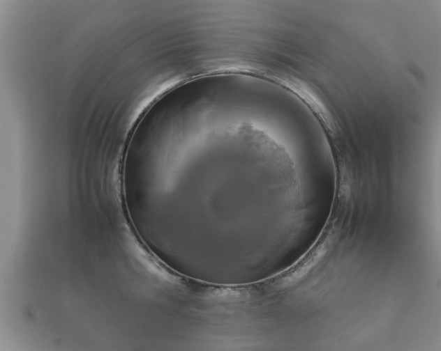 X0000112400806200908211114