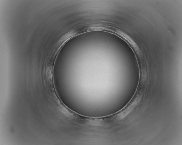 X0000112400809200908211114
