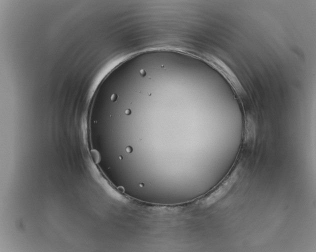 X0000112400812200908211114