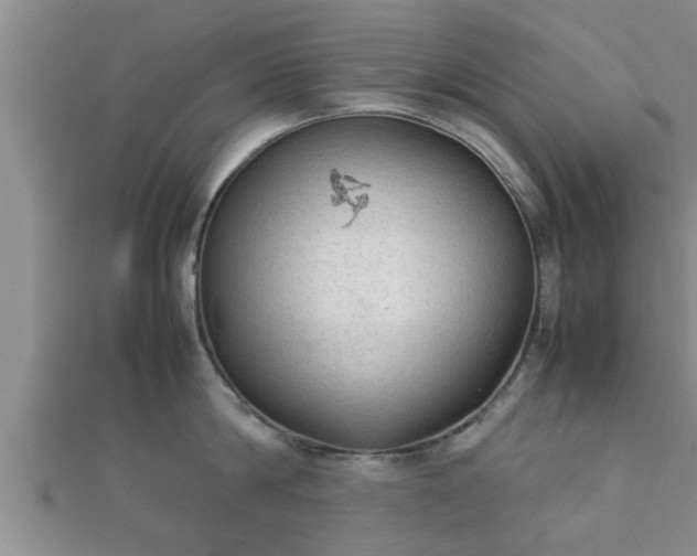 X0000112400814200908211114
