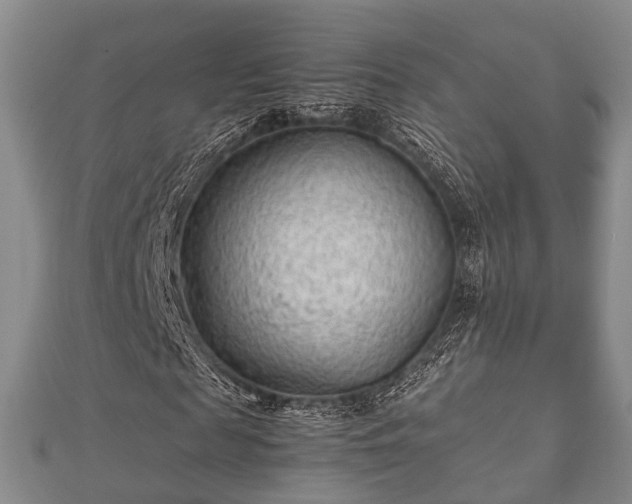 X0000112400817200908211113
