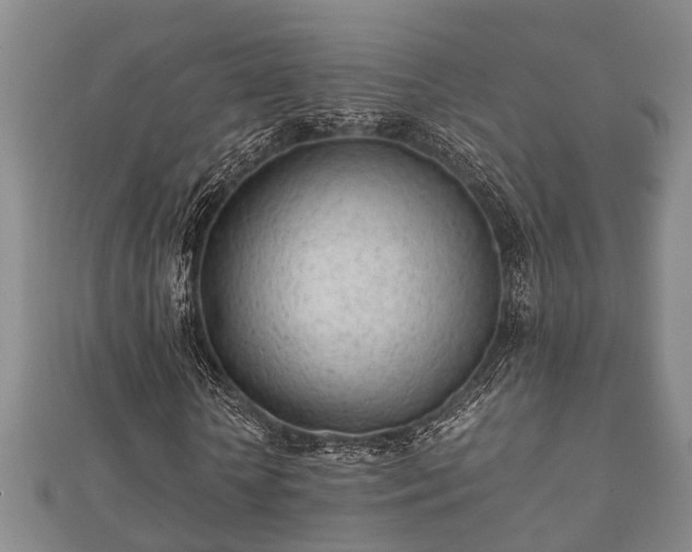 X0000112400818200908211113