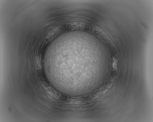 X0000112400819200908211113