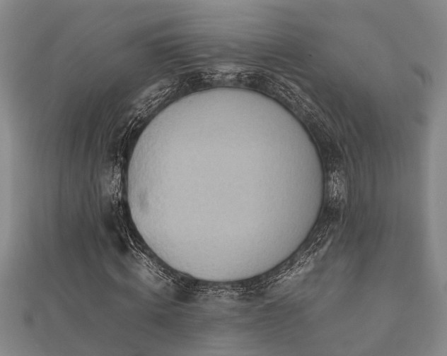 X0000112400820200908211113
