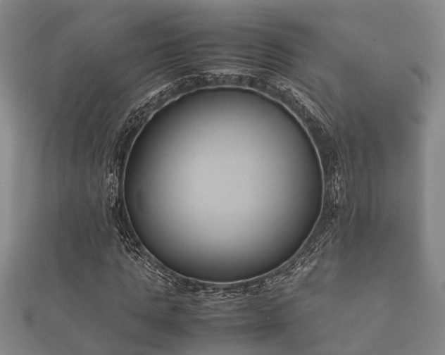 X0000112400821200908211113
