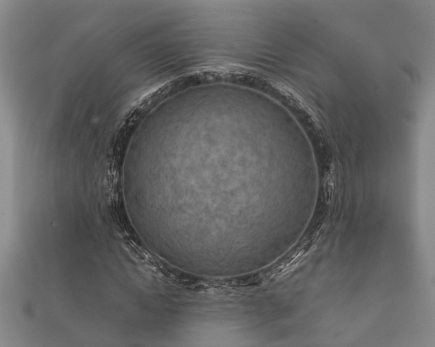 X0000112400822200908211113