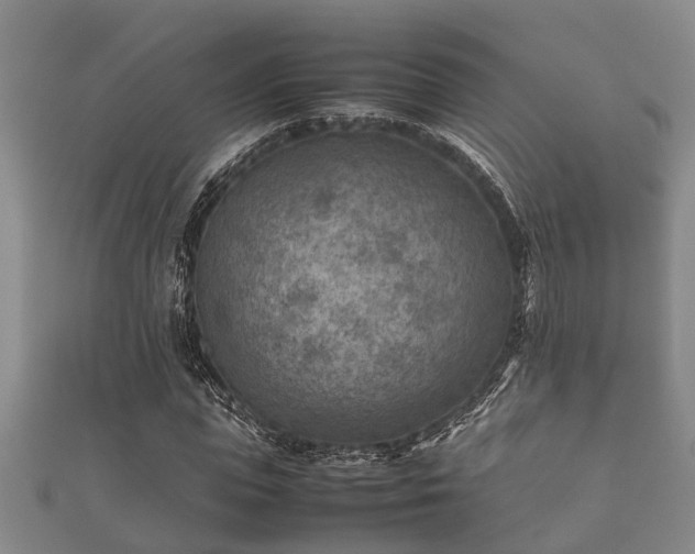 X0000112400823200908211113