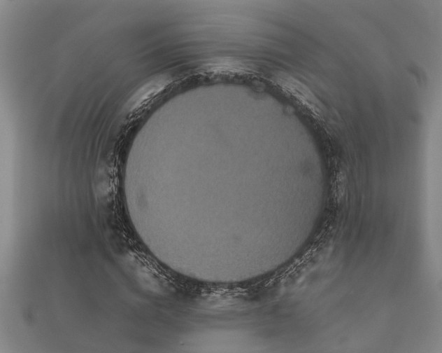 X0000112400824200908211113