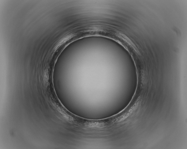 X0000112400826200908211113