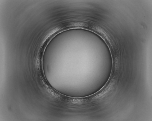 X0000112400827200908211113