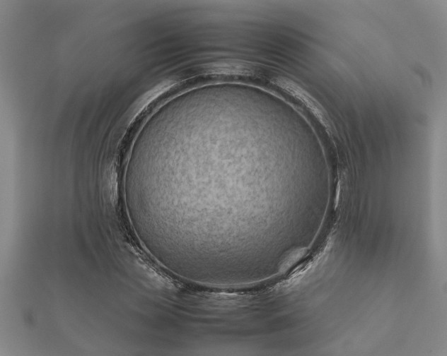X0000112400829200908211113