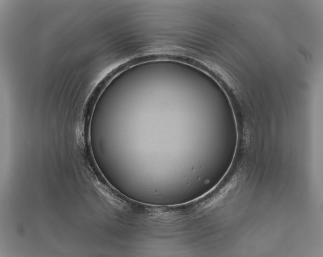 X0000112400830200908211113