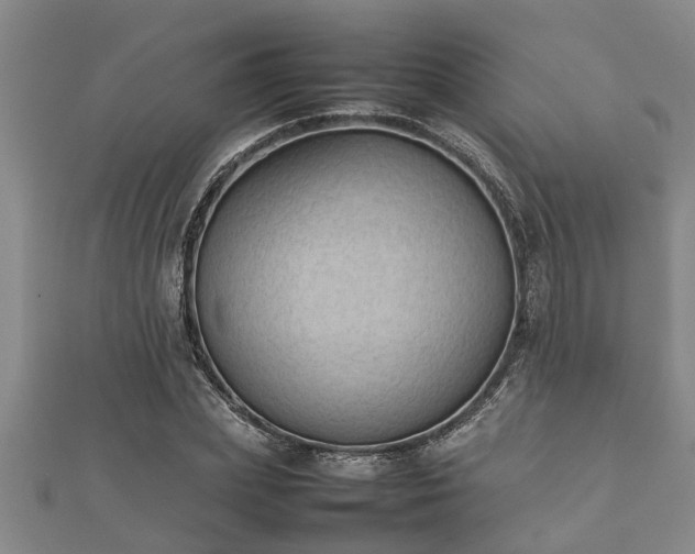 X0000112400831200908211113