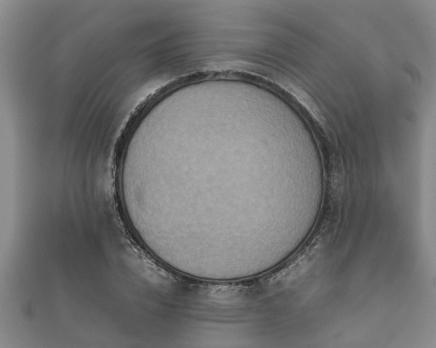 X0000112400832200908211113